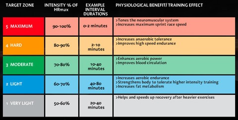 Exercise Heart Rate Zones Chart