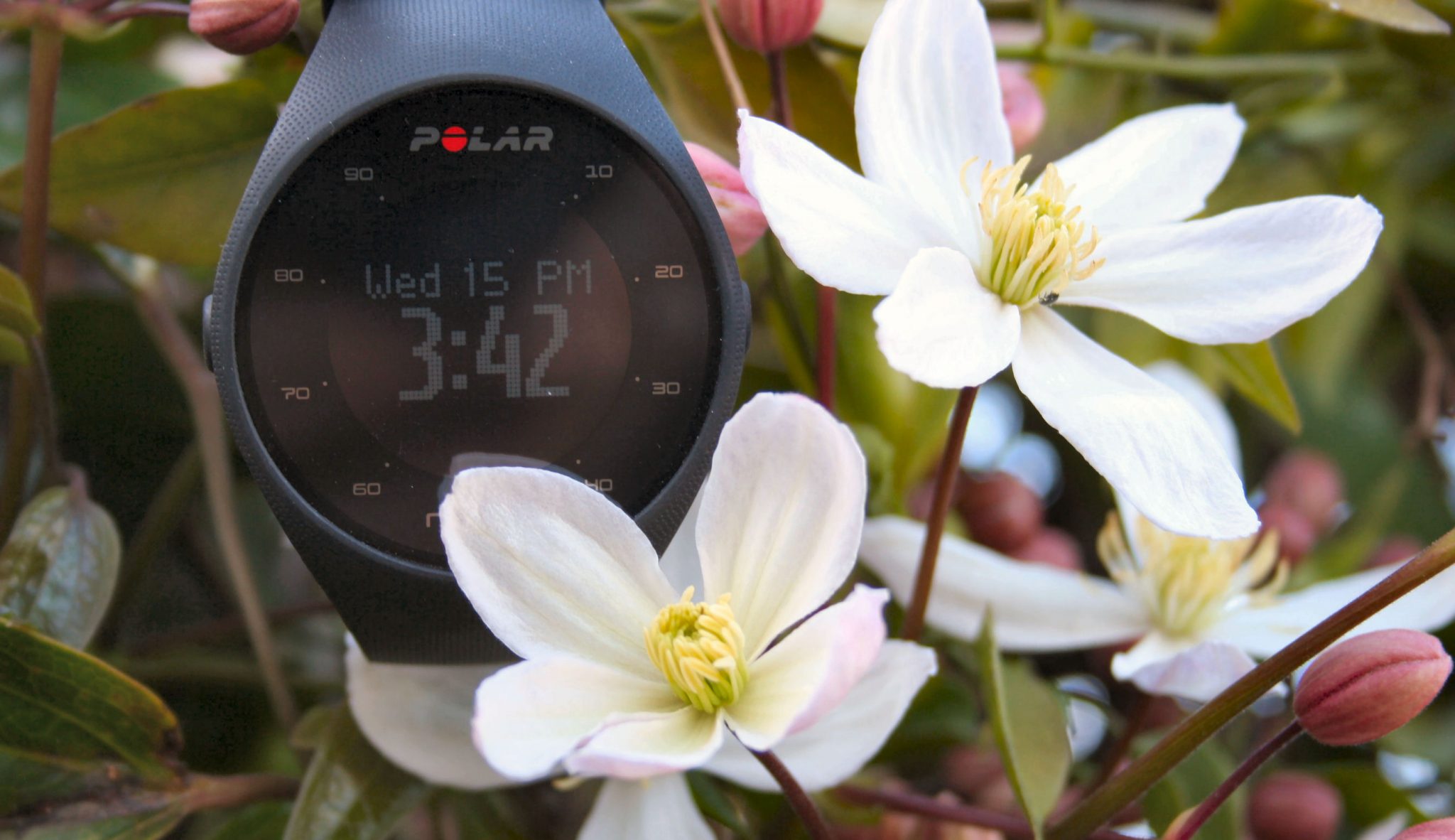 Polar M200 美品 2026年最新】m200 ポラールの人気アイテム - メルカリ