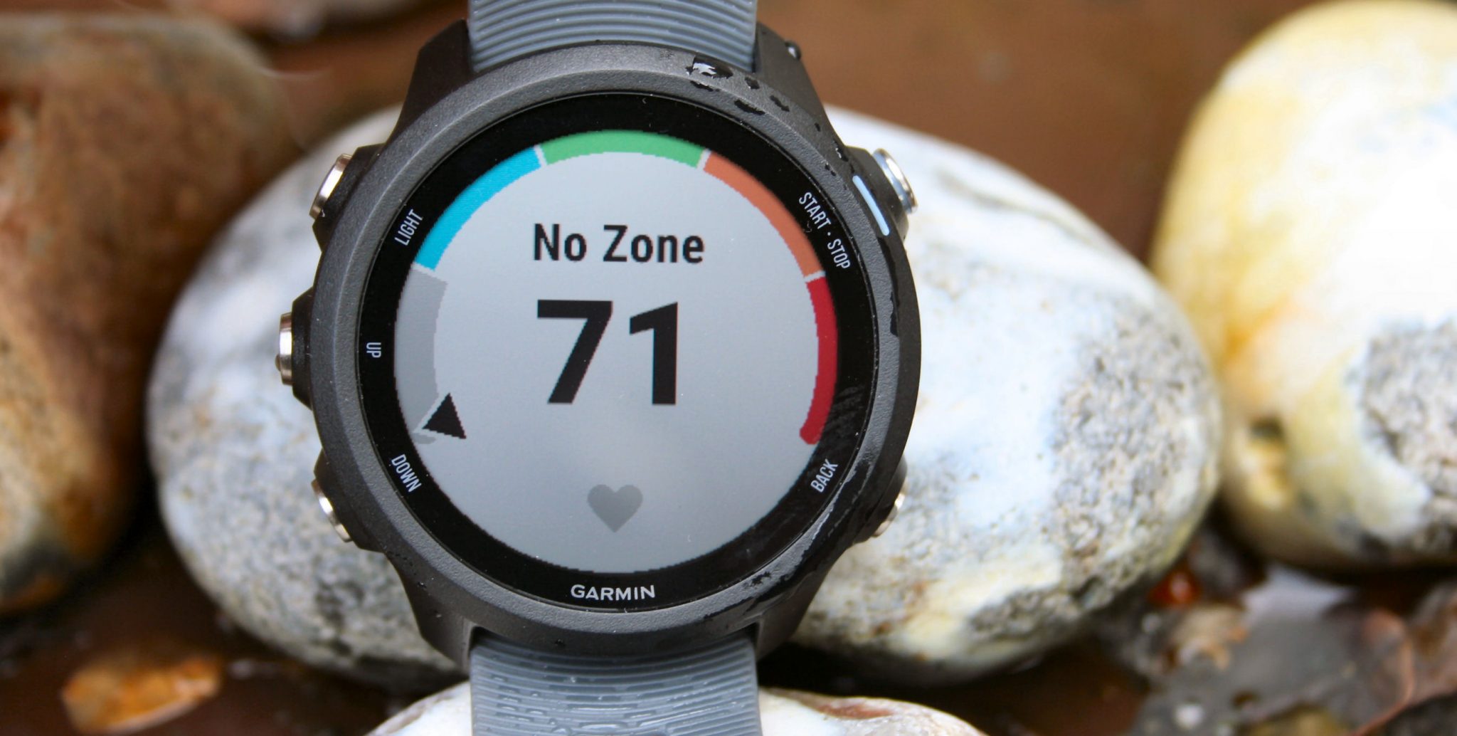 Garmin Forerunner 245 Review