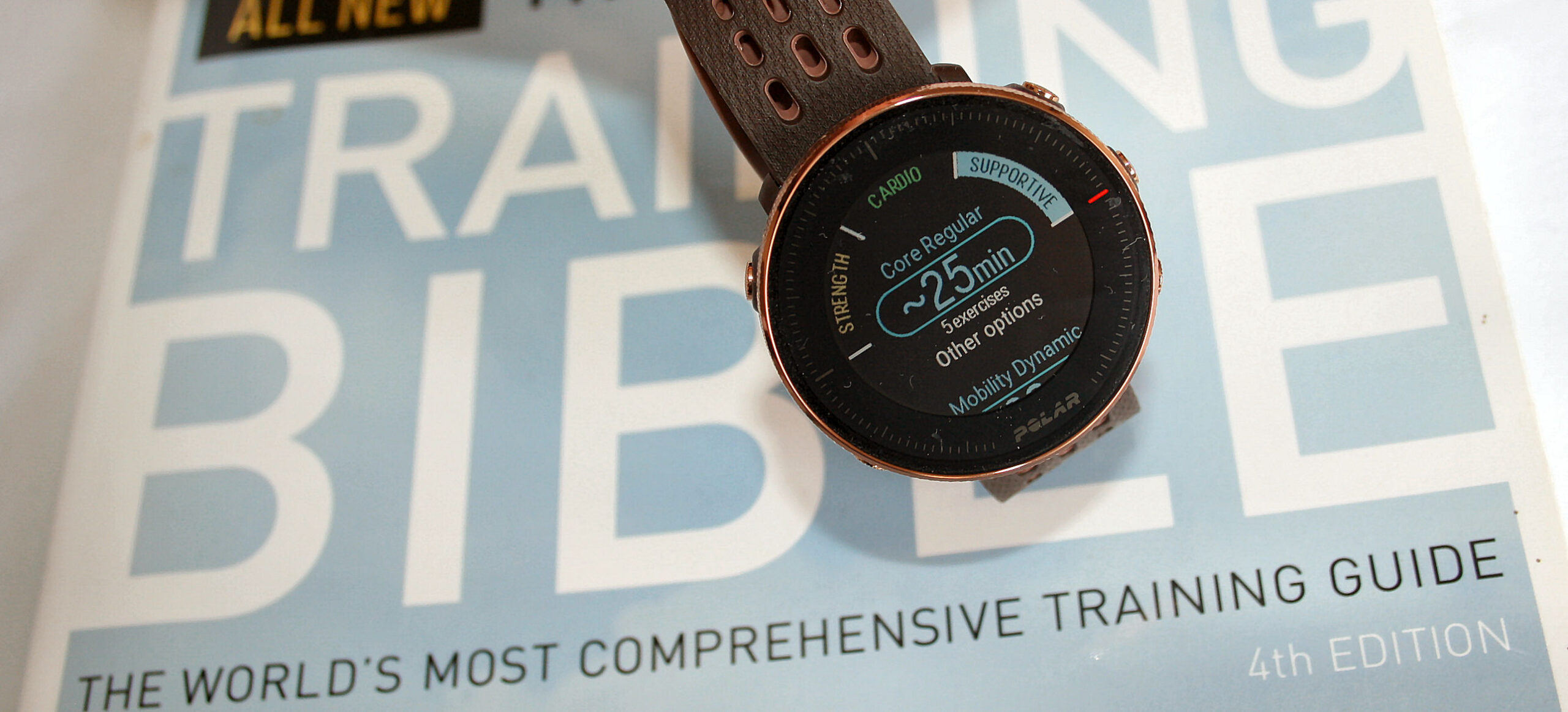 ホルミーバンテージM2 ホルミーバンテージM2 Polar Vantage M2 | eBay