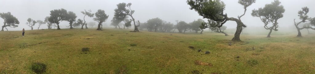 Madeira Road Bike Trip + 48a Volta A Madeira