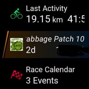 Garmin Primary Race Widget