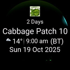 Garmin Primary Race Widget